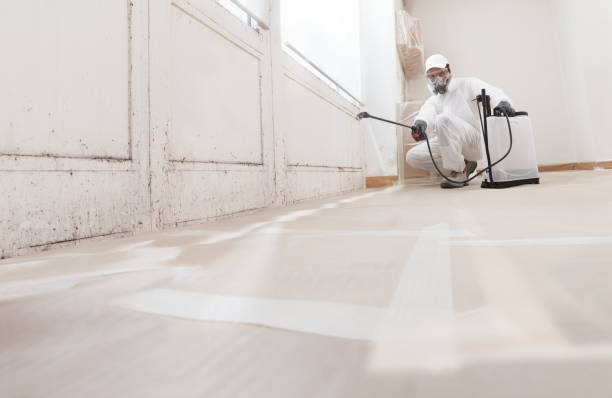 24/7 Emergency Mold Remediation experts in Bealeton, VA