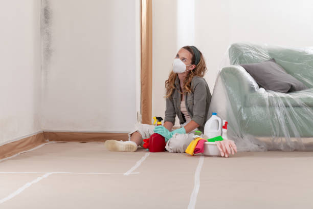 Reliable Mold Remediation contractor in Bealeton, VA by WQB Mold Removal